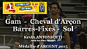 GAM Kevin ANTONIOTTI Médaille ARGENT au Championnat National Séniors de Ponts de Cé  @ffgymnastique #TvLocale_fr #coupenat2015