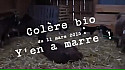 l'AgroEcologie et l'AgroForesterie en Danger :  Benoit Biteau pousse son coup de Gueule ... y'en a marre !