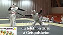Pour le téléthon 2016 à Geispolsheim, la section Chanbara a relevé un défi