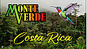 Acteurs-Locaux Les FUSOTISTES  123  au COSTA RICA   -   Faut il faire le parc de MONTE VERDE