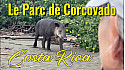 Acteurs-Locaux Les FUSOTISTES  126  au COSTA RICA  -  