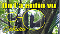 Acteurs-Locaux Les FUSOTISTES  132  au COSTA RICA   -  Parc National de Cahuita I Costa Rica