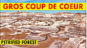 Acteurs-Locaux Les FUSOTISTES  44  en ARIZONA   -   La forêt pétrifiée