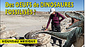 Acteurs-Locaux Les FUSOTISTES  71  au NOUVEAU MEXIQUE  -  Bisti, un MYSTÈRE I USA