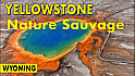 Acteurs-Locaux Les FUSOTISTES  73  au WYOMING  -  Yellowstone: La Nature à l'État Sauvage