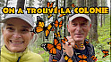 Acteurs-Locaux Les FUSOTISTES   98   au MEXIQUE  -  Le Monde Secret des Papillons Monarques !