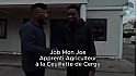 TV Locale Ile de France - Job Mon Joe en apprenti Maraîcher  Partie 1