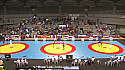 #Sambo : Championnat d’Europe Juniors et Espoirs à Toulouse @FFLUTTE 