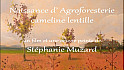 'Naissance d'Agroforesterie cameline lentille' par Stéphanie Muzard