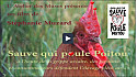 Sauve qui poule Poitou, de Stéphanie Muzard