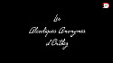 Alcooliques anonymes