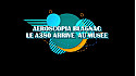 Aeroscopia, actualité scoop nouvelle collection #airbus #a #aviation #airbusa380 #blagnac #toulouse #tvlocale.fr #smartrezo
