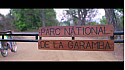 Le Parc National de la Garamba en RDC Célèbre un Tournant Décisif Plein d'Espoir 