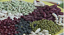 Les haricots en grain -  par Astrid Romain - Micronutritionniste - Endobiogéniste - Acteurs Locaux 82