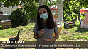 Lola BUJALANCE, coordinatrice départementale - Francas du Tarn-et-Garonne / Lot :  Egalité, liberté des femmes ! On en discute ? 