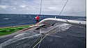 SODEBO ULTIM 3 met fin à sa tentative de TROPHÉE JULES VERNE suite à une avarie de safran