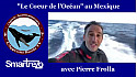 Approche TV : 'Le Coeur de l'Océan avec Pierre FROLLA à Roca Partida au Mexique @PierreFROLLA