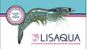 Acteurs Locaux Loire-Atlantique - 'Lisaqua, une jeune entreprise qui élève des crevettes françaises sans antibiotiques ni conservateurs'