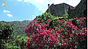 Lama : Évaluation triennale du village fleuri Quatre fleurs @TelePaese