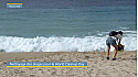 TV Locale Corse - Nettoyage des plages pour le World Clean Up Day