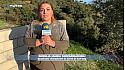 TV Locale Corse-du-Sud - Ball-trap : Portrait de Ghjulia Maria Giovannangeli
