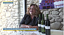 Acteurs-Locaux Tv Locale Corse - Découverte du patrimoine viticole de Corse