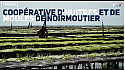 TV Locale Noirmoutier - Coopérative d’Huitres et de Moules de Noirmoutier
