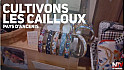 TV Locale Ancenis - présente le collectif de créateurs 'Cultivons Les Cailloux'