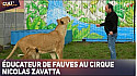 TV Locale Nantes - Les Éducateurs de fauves au cirque Nicolas Zavatta