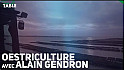 TV Locale Noirmoutiers - L’ostréiculture avec Alain Gendron