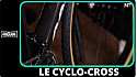 TV Locale Nantes - Le Cyclo-cross