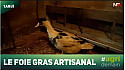 TV Locale Landes - Agridemain Tour nous fait découvrir Le foie gras artisanal