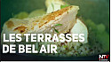 TV Locale Ancenis - Tous à Table avec 'Les Terrasses de Bel Air'