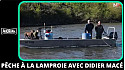 TV Locale Loire-Atlantique - Pêche à la lamproie avec Didier Macé