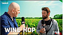 TV Locale Clisson - à la découverte du Wine Hop - bière et vin ne font qu’un