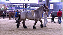 ProNaturA-France - Races-de-France défend la Biodiversité chaque année au Salon International de l'Agriculture de Paris