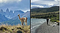 Acteurs Locaux Les Boudubouts au Chili - 123 un Guanaco sous le charme à Torres del Paine