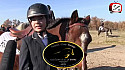  Blagnac Constellation équitation :Cléo Chaumaud jeune cavalière #equitation #cheval