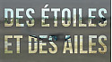 Meeting Aérien des Etoiles et des Ailes  #airshow #aviation #toulouse #tvlocale.fr @meeting_deda