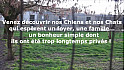 Spa De Montauban Ramier - PORTES OUVERTES DIMANCHE 28 JANVIER - Ils ont besoin de vous !