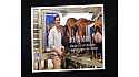 Bertin Moret, éleveur de chèvres et producteur de fromages de chèvre