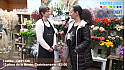 Acteurs Locaux Castelsarrasin :  Laetitia - GINFLOR 13 place de la liberté, Castelsarrasin - 82100
