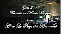 Gala 2019 de la Tarnaise Gym: Scène 6 Alice le Pays des Merveilles