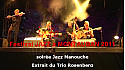 JAZZ MANOUCHE :  The Trio Rosenberg avec le violonniste Tim Kliphuis @mlecomte #Tvlocale_fr @rosenbergtrio 