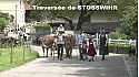 Transhumance 2019 de Hohrod dans la vallée de Munster en passant par le Markstein @regiongrandest
