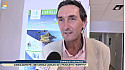 Télé Paese Corsica: Hôtellerie : Des séjours « + verts » pour protéger la Corse @TelePaese