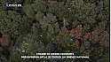 TV Locale Télé-Paese Corse - Chasse de chiens courants : présentation de la 3e édition du brevet national