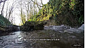 Migrateus IN FOCUS dans la fluidité