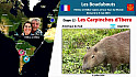 Acteurs-Locaux Paulhac 'Les Boudubouts' 12ème étape ARGENTINE - les Carpinchos d'Ibera