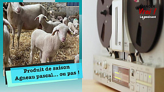 TV Locale France - L'agneau, du bonheur dans l'assiette pour toute la famille !